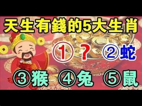 座向 生肖|【座向 生肖】房屋風水指南：12 生肖座向配對助你安。